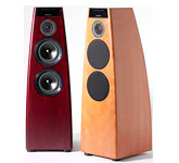 Акустическая пара: Meridian DSP 5200