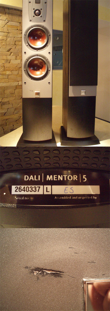  : DALI Mentor 5 Black -  ,      