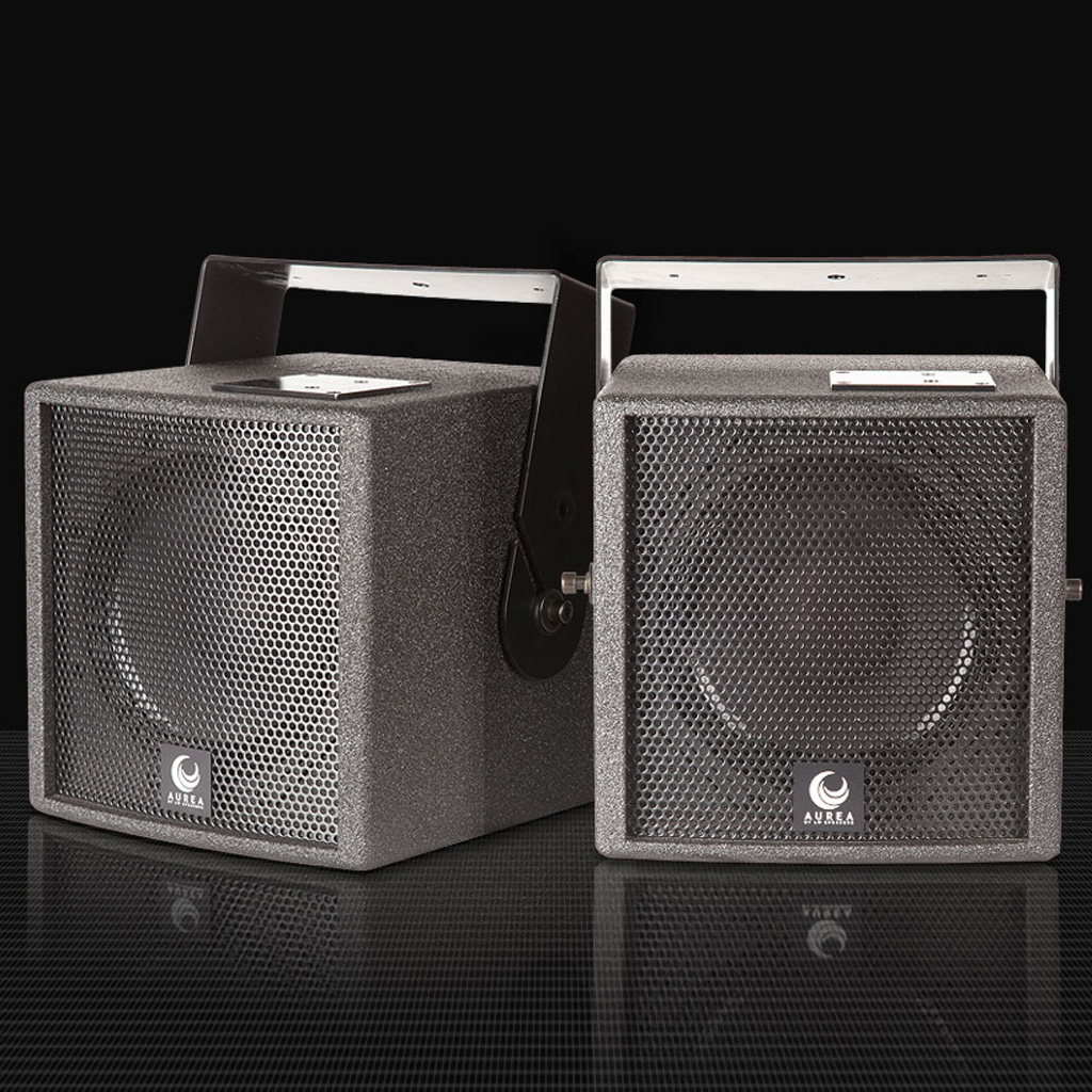   3      surround  Hi-End: Aurea Coaxial 8 Black