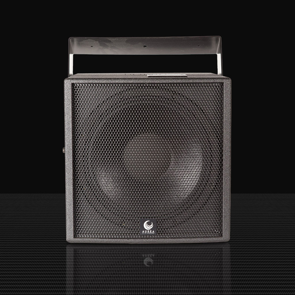   2      surround  Hi-End: Aurea Coaxial 12 Black