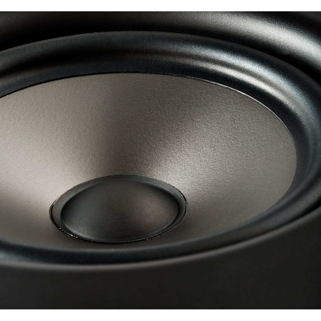   4   : Polk Audio V65