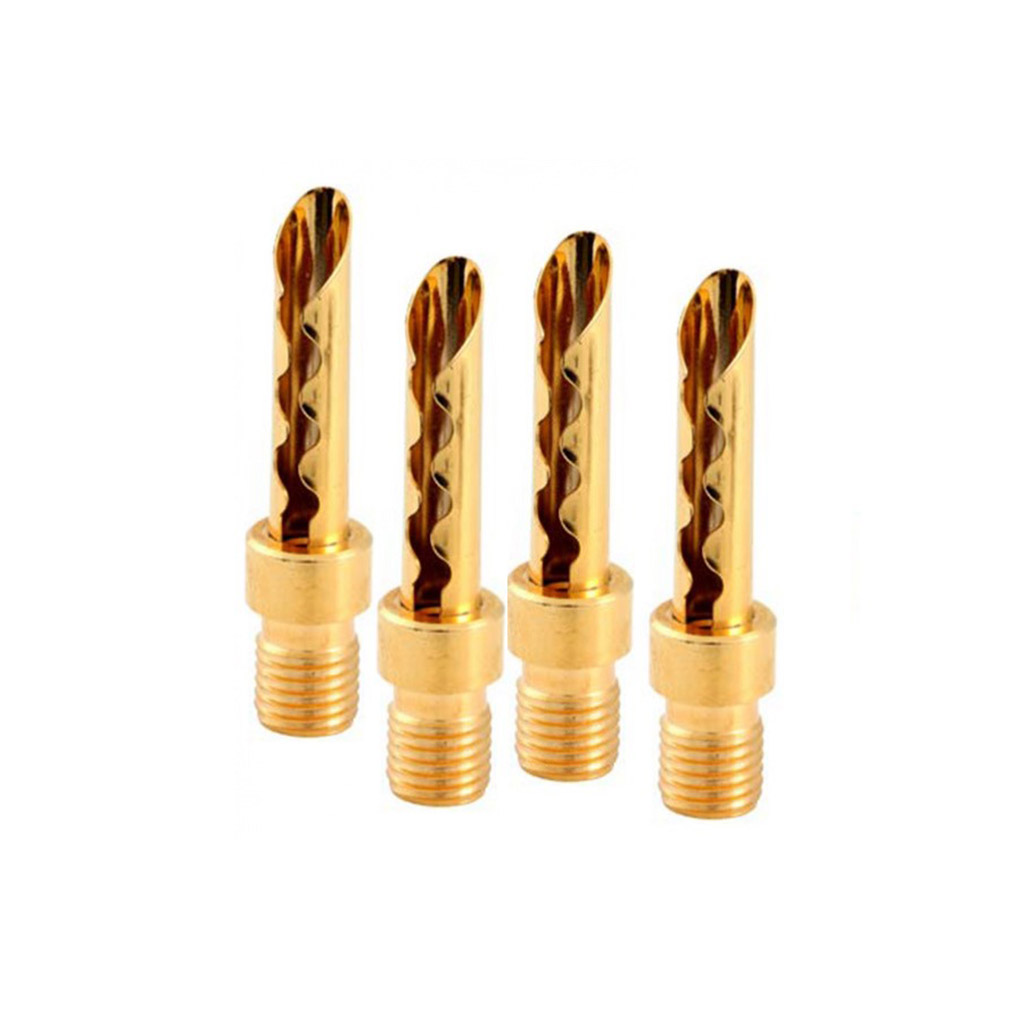 : Atlas Transpose Adapters Gold Z