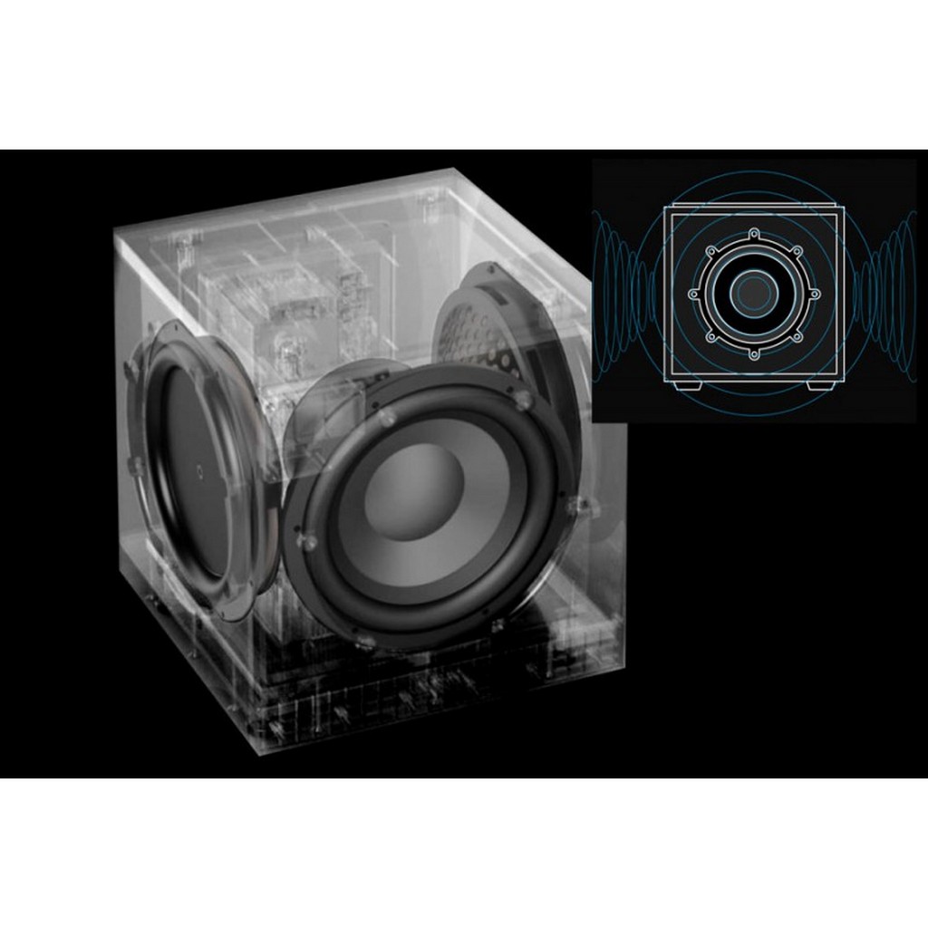   4  : Definitive Technology DN12 SUB Black