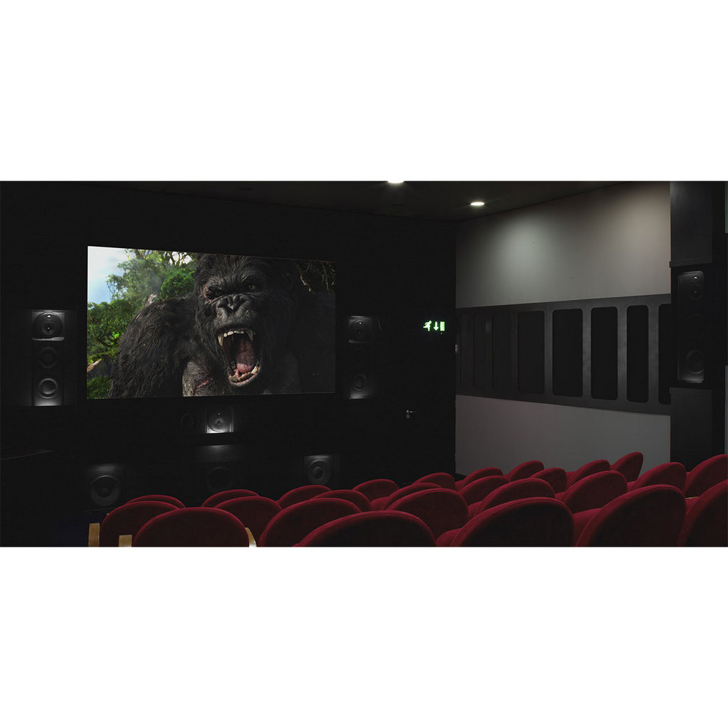   3   : Bowers & Wilkins CT8 SW Passive Black