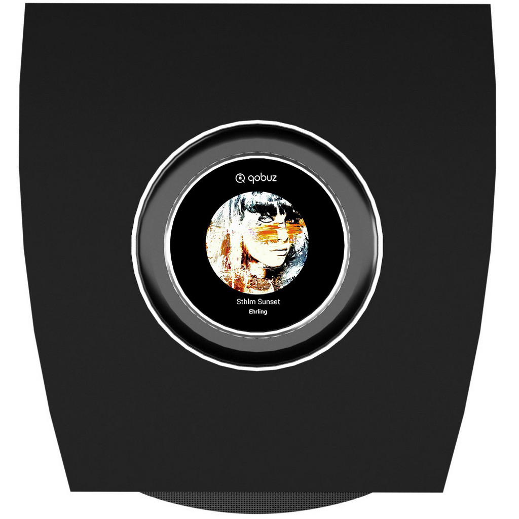   7   : Cabasse Rialto  Black