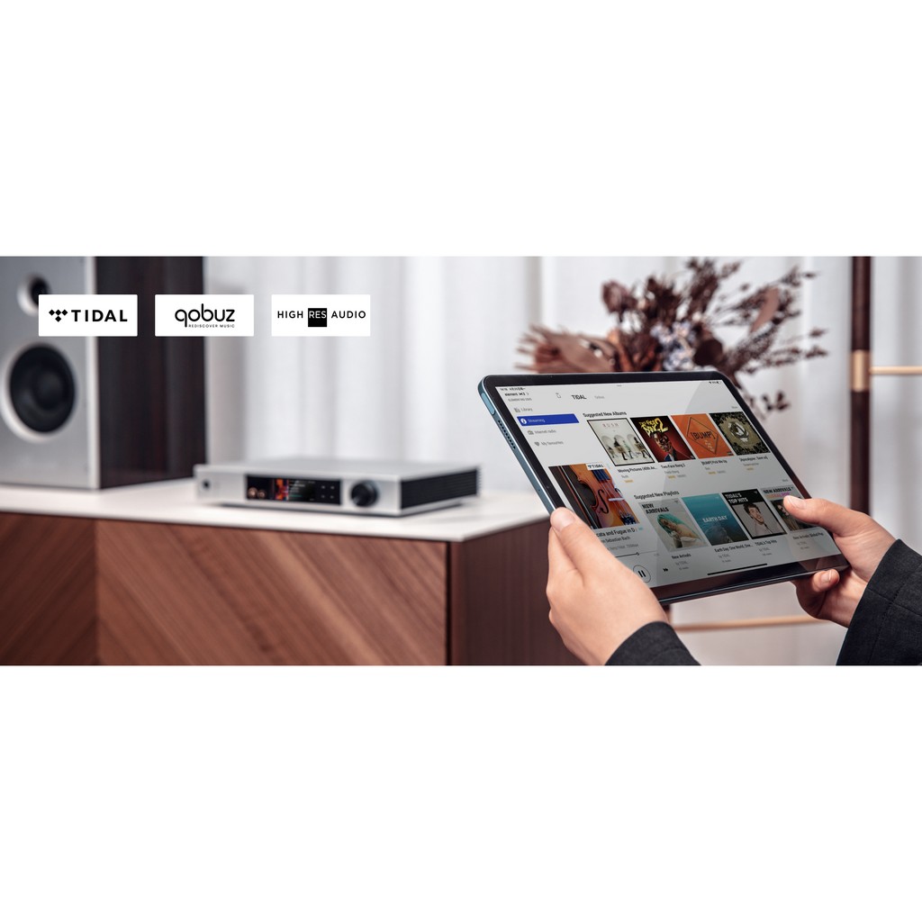   7  : Matrix Audio Element X2 Silver