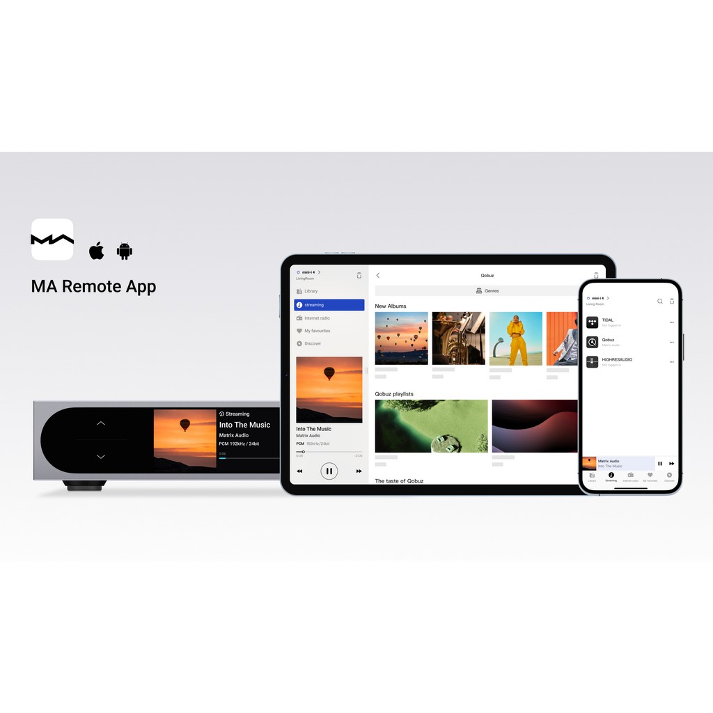   6  : Matrix Audio mini-i 4 Grey