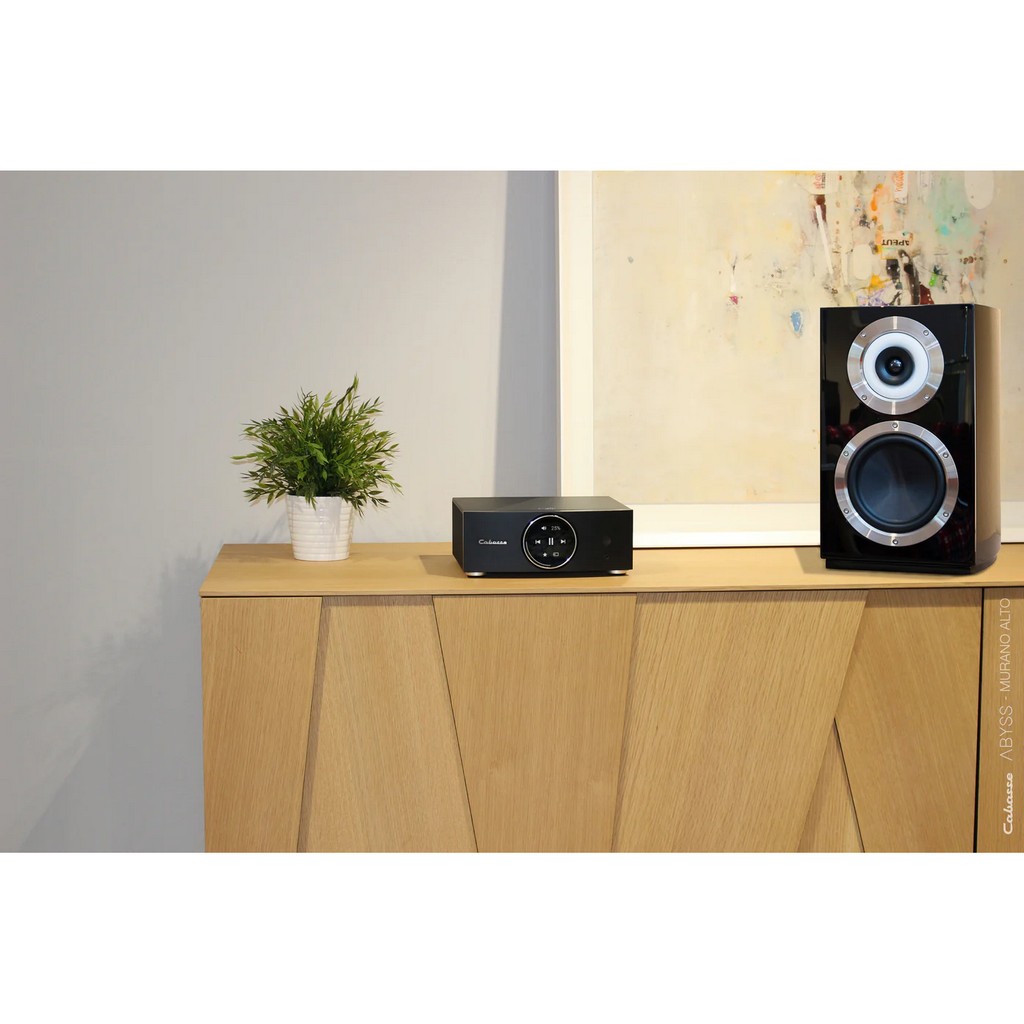   10   : Cabasse AMP 240 S