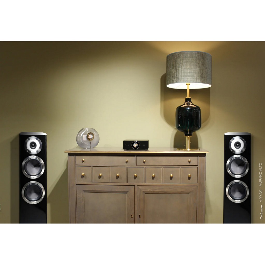   9   : Cabasse AMP 240 S
