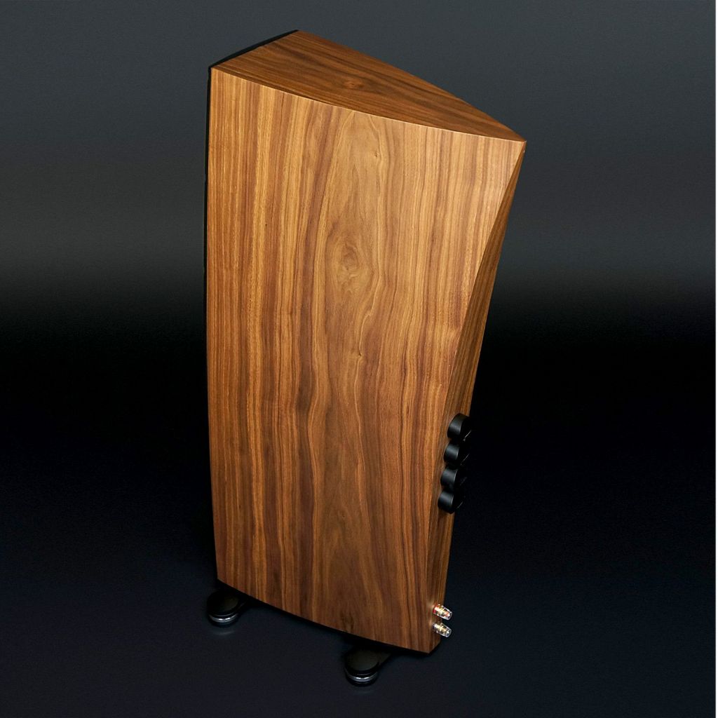   5   : Scansonic Q 8 High Gloss Black