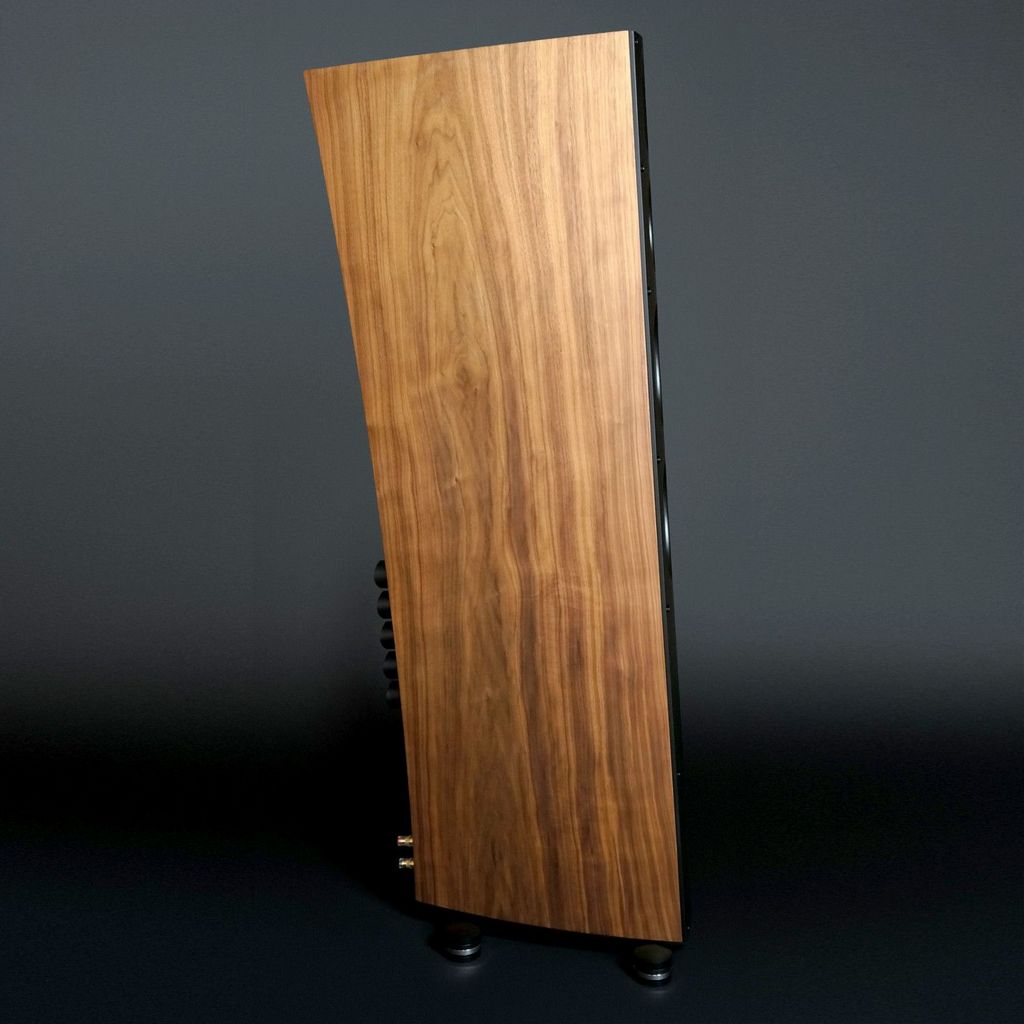   3   : Scansonic Q 10 High Gloss Black