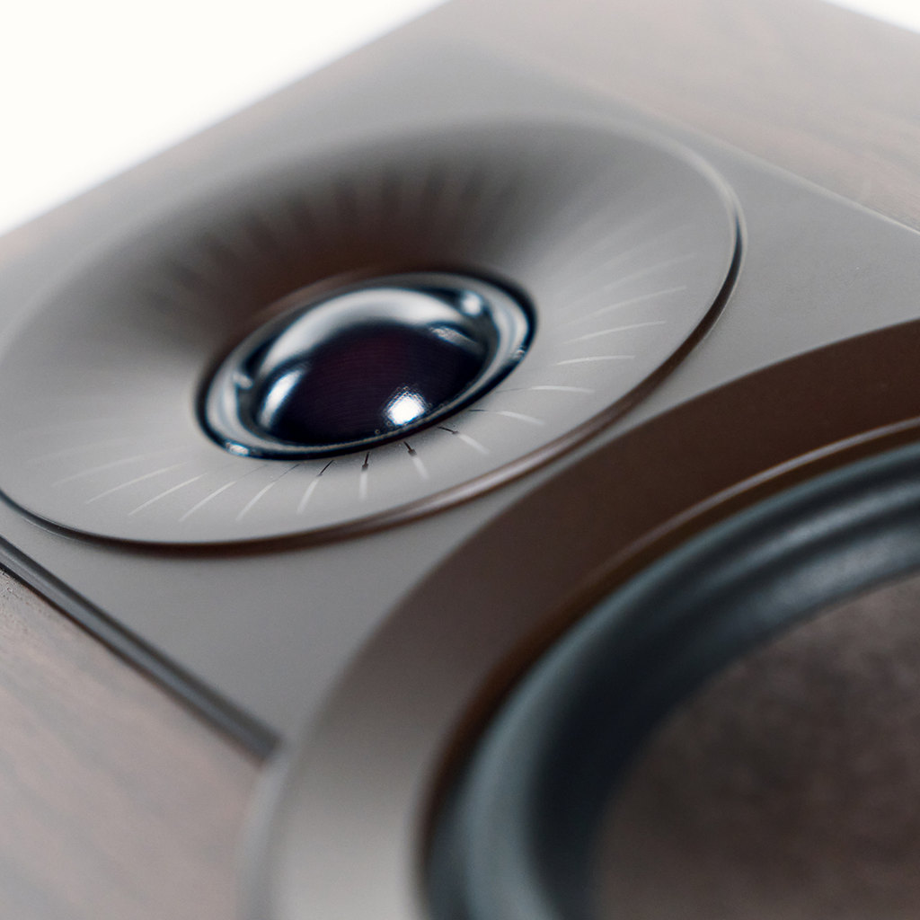 ���� � 11 ������ ������������ ����: DALI Kupid Black Ash