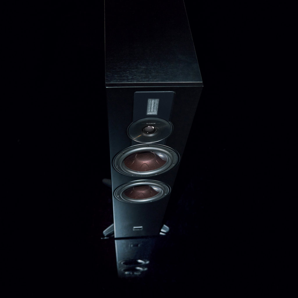 ���� � 10 ������ ������������ ����: DALI  Sonik 7  Black Ash