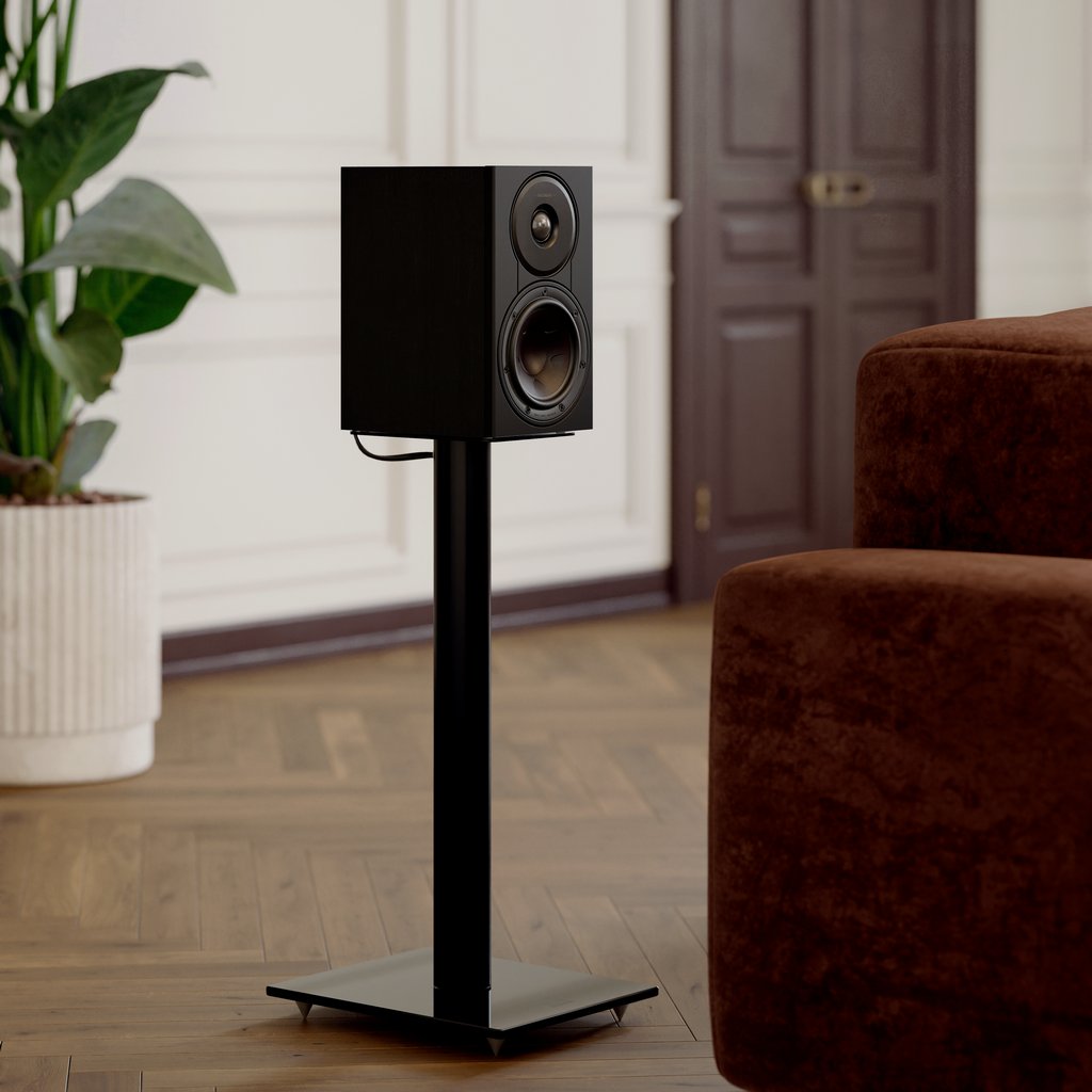 ���� � 11 ������ ������������ ����: DALI  Sonik 1  Black Ash