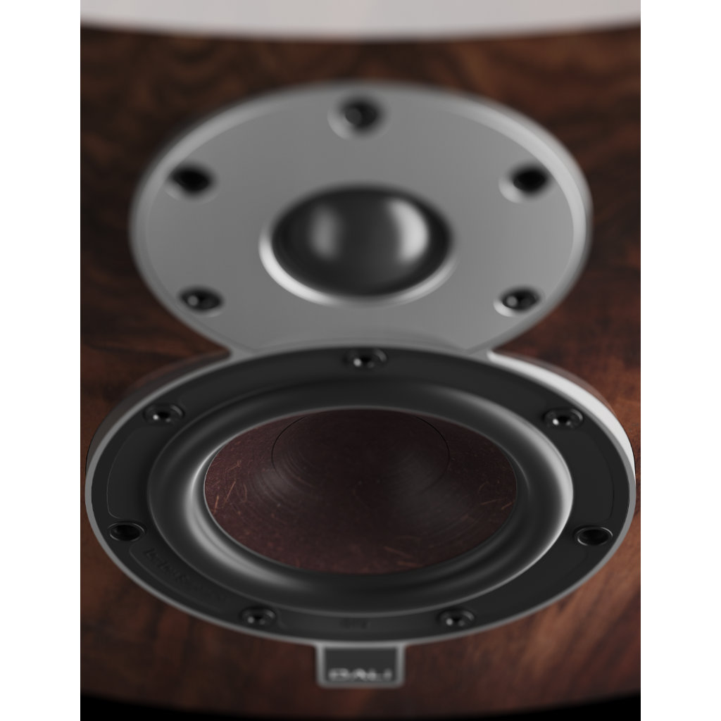 ���� � 7 ������ ������������ ����: DALI Menuet SE High Gloss Wild  Walnut