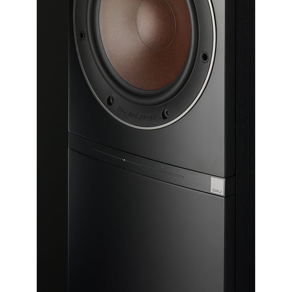 ���� � 8 ������ ���������� ��������� ������� � ��������: DALI Callisto 6 C Tobacco Oak + Sound Hub + Bluos NPM-2i