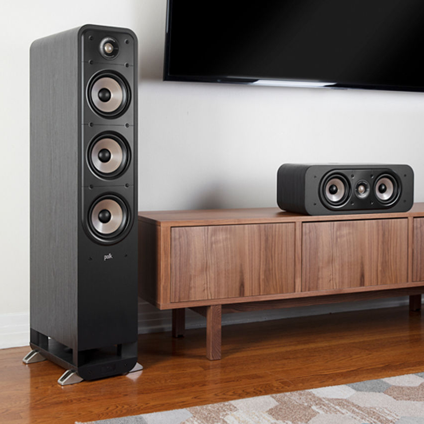 ���� � 10 ������ ��������: ������� Polk Audio Signature S60e � ������� ������-������� Denon DRA-800H