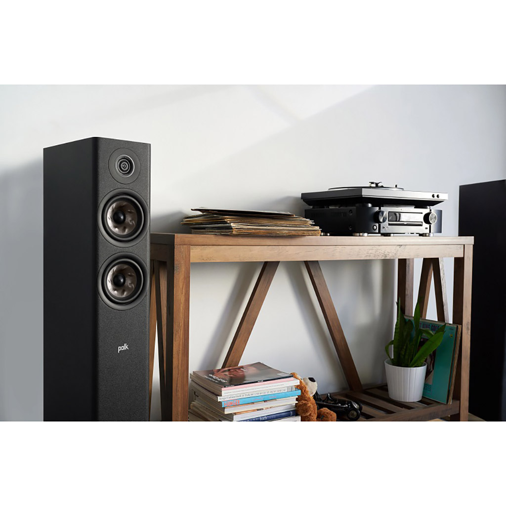 ���� � 11 ������ ��������: ������� Polk Audio Reserve R600 � ������� ������-������� Denon DRA-800H