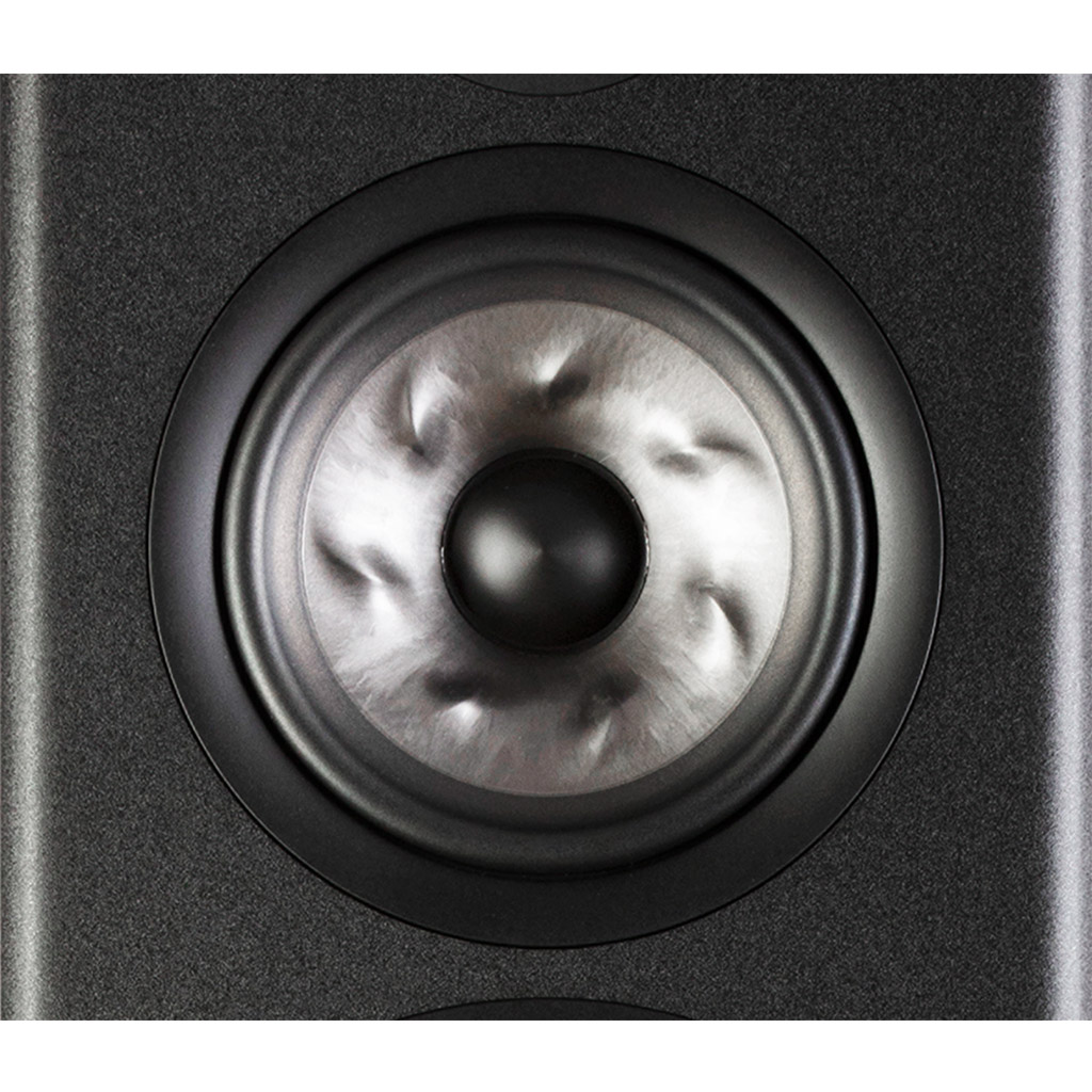 ���� � 7 ������ ��������: ������� Polk Audio Reserve R700 � ������� ������-������� Denon DRA-800H