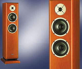����������� ������������ ����: CAV DP 870 (Light Cherry)