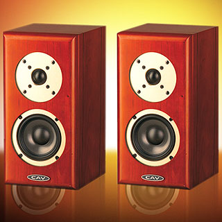 ������� ������������ ����: CAV DS 88 (wood veneer)