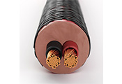   (): DALI CONNECT SC RM230,  3.00  .,  50  ()